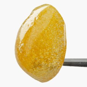 1719268659-1677609419-wcc_zberries_live_rosin_fresh-press.jpg West Coast Cure ZBerries Fresh Press Rosin 1g