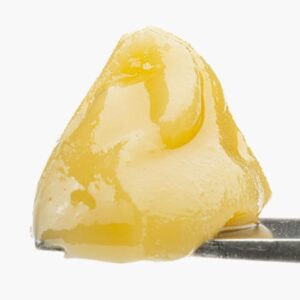 West Coast Cure Gush Mintz Live Resin Badder 1g