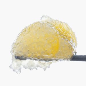 West Coast Cure Governmint Oasis Live Resin Badder 1g