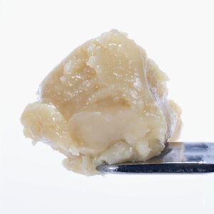 1725455909-papaya_live_rosin_badder_t2.jpg West Coast Cure Papaya Cold Cure Rosin 1g (Batch 2)