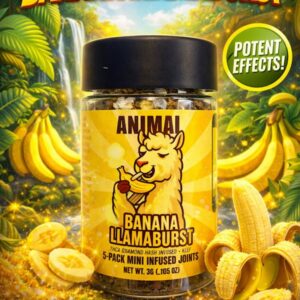 1766092388-640f6a7f-1674-471c-8428-d353ee558ea4.jpg Unknown Banana Llamaburst, Hash Hash Hole 2g