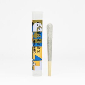 1771527979-canabotanica_-_diamond_dusted_infused_hash_hole_-_universal_1g.jpg Diamond Dusted Blue Dream Hash Hole 1g