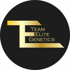 Unknown Team Elite Genetics | Purple Gas Trucker | Hash Hole 2g