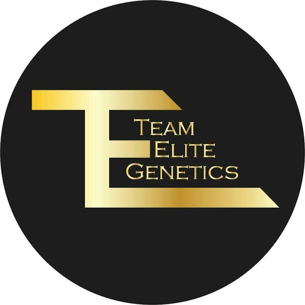 1773682809-1621282561-teamelite_insta_logo.jpg Unknown Team Elite Genetics | Purple Gas Trucker | Hash Hole 2g
