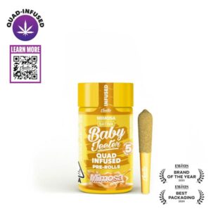 Jeeter Mimosa Infused Mini Pre Roll 5pk
