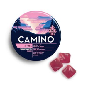 Camino Wild Berry Gummies Gummies 100mg 20ct