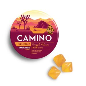 Camino Pineapple Habanero Gummies Gummies 100mg 20ct