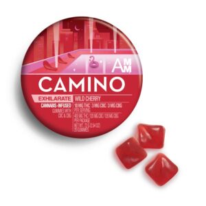 Camino Wild Cherry Gummies Gummies 400mg 20ct