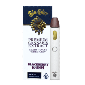 1777389052-1723661838-onthego_blackberrykush_donee.png Big Chief Blackberry Kush Disposable 1g