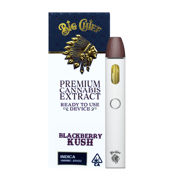1777389052-1723661838-onthego_blackberrykush_donee.png Big Chief Blackberry Kush Disposable 1g